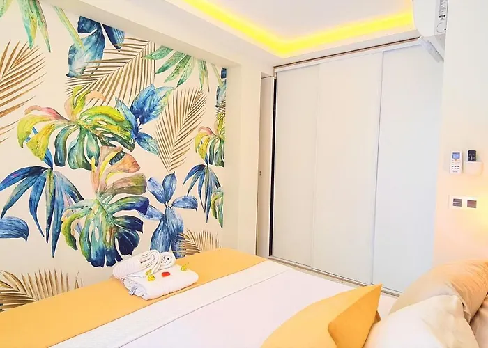 Rada Abc & Estudios A *